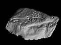 Thumbnail of The Howgill Stone recorded by laser scanning during the NADRAP Project.