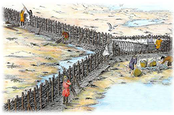 Drawing of fish traps