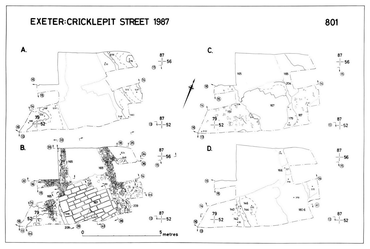 Excavations at Cricklepit Street, Exeter 1987-89 (Exeter archive site 81)