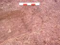 Thumbnail of Post-ex view of PH [2600] 