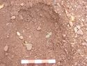 Thumbnail of Post-ex view of PH [2594] 