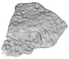 Thumbnail of 2005_INORA_article_fig2_surface.jpg