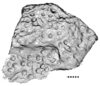 Thumbnail of 2005_INORA_article_fig3_contour_map.jpg