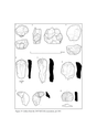 Figure 19: Lithics from the 2007 GCCAS excavations, pit 1001