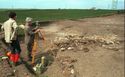 Thumbnail of 31.02 Tony Clarke undertaking what was at the time pioneering archaeomagnetic work, assisted by Keith Emerick. Grovebury farmhouse is on the horizon