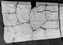 Thumbnail of 39.14 Photograph of part of a reused stone coffin lid found associated with S64