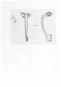 Thumbnail of CuA Brooch Drawing 50