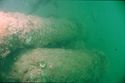 Thumbnail of hz 1042- hzu-f07 underwater photo cannon