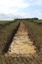 Thumbnail of TR131 Gen view trench