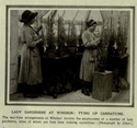 Thumbnail of Work at Windsor Royal Gardens (Windsor Hall, Berkshire). Image from The Illustrated War News, 12 December 1917.