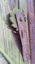 Thumbnail of Nissen Hut, now located at West Deloraine Farm (Ettrick Valley, Selkirk, Scottish Borders). Close-up of possible vent opening mechanism.