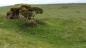Thumbnail of Stobs Camp (Stobs, Hawick). Fortification Trench A , picture taken facing NW