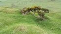 Thumbnail of Stobs Camp (Stobs, Hawick). Fortification Trench A, picture taken facing NW