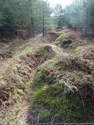 Thumbnail of Main trench, Broadhurst Green (Hednesford, Cannock Chase, Staffordshire).