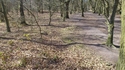 Thumbnail of Mousehold Heath shallow practice trench to the left of the footpath (Mousehold Heath, Thorpe Hamlet, Norwich, Norfolk). Photograph taken facing west.