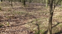 Thumbnail of View of communication trench, facing north (Mousehold Heath, Thorpe Hamlet, Norwich, Norfolk).