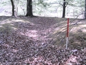 Thumbnail of Bourley Road military practice trenches (Cargate, North Town, Rushmoor, Hampshire). Site photo.