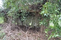 Thumbnail of WW1 circular pillbox of concrete block construction (Parrow Lane, Hanworth, North Norfolk, Norfolk).