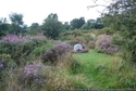 Thumbnail of Freda's Grave (Chase Road, Brocton, Stafford, Staffordshire). Memorial to Harlequin Great Dane mascot of New Zealand Rifle Brigade. General view.