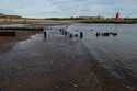 Thumbnail of Remains of wooden ramp used for launching and recovering seaplanes, forming one element of the  Royal Naval Air Service (RNAS) seaplane station at South Shields (Herd Sand, Westoe, South Shields, South Tyneside, Tyne and Wear). View of end of ramp, looking north west along low water line.