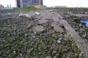 Thumbnail of Slipway and breakwater of Seaton Carew Seaplane Station, in the intertidal area between Teesmouth National Nature Reserve and Hartlepool Power Station (Zinc Works Road, Foggy Furze, Seaton Carew, Hartlepool, Country Durham). Slipway looking landward.