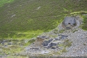 Thumbnail of Carrock Mine (Mosedale, Cumbria) was used for the extration of wolfram (an ore of tungsten). Mine buildings 2010