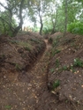 Thumbnail of Site of surviving practice trench earthworks at Dreamy Hollow Woodland Campsite (Fakenham Road, Bagthorpe with Barmer, Norfolk). Section of communication trench, cleared of vegetation. (c) N Day.