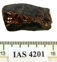 Thumbnail of IAS 4201 Amber0024