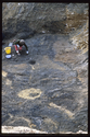 Thumbnail of S723 IAS 4201