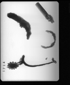 Thumbnail of IAS A1724 