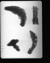 Thumbnail of IAS A1725 