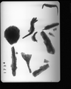 Thumbnail of IAS A1734 