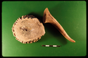 Thumbnail of S1480 IAS 5502
