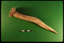 Thumbnail of S1482 IAS 5502