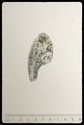 Thumbnail of S194 IAS 5502