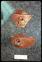 Thumbnail of S195 IAS 5502