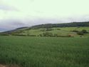 Thumbnail of Silpho Brow: SE section, view from Harwood Dale