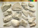 Thumbnail of waste axe flakes