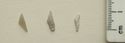 Thumbnail of Close-up of microliths (Fig 91.jpg: Row 4)