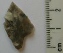 Thumbnail of S of Bucking Hill: tanged arrowhead (obverse)