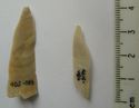 Thumbnail of NW of Shepherds Hill: 1. flake/blade (reverse); Shepherds Hill: 2. microlith (Broad Blade) (reverse)
