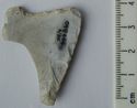 Thumbnail of Morton Moor, N of Laythorn Hill: tranchet arrowhead (broken) (reverse)