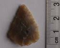 Thumbnail of Askwith Moor, Pickett's Beck Slack: leaf-shaped arrowhead (reverse)