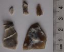 Thumbnail of Askwith Moor, W of Shooting House Hill: 1-4. flakes, 5. leaf-shaped arrowhead (fragment)
