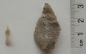 Thumbnail of Broomhead Moor: 1. microlith (reverse), 2. leaf-shaped arrowhead (reverse)
