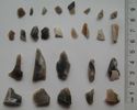 Thumbnail of Broomhead Moor: 1-19, 23, 26-27. waste, 20, 22. worked flakes, 21. blade, 24-25. cores