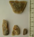 Thumbnail of Keighley Moor Reservoir: 1. tranchet arrowhead (obverse), 2-4. flakes (obverse)