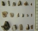 Thumbnail of Combe Hill: assorted pieces (obverse)