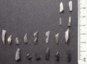 Thumbnail of Nab Hill: 1-2, 6, 8, 12, 14, 16, 18. microliths (Narrow Blade), 9, 11. scalene triangles, 3-5, 7, 10, 13, 15-16. waste