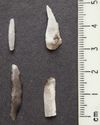 Thumbnail of Nab Hill: 1. piece of quartz, 2. retouched flake; Sawood Moss: 3. microlith (Narrow Blade), 4. straight-backed bladelet (Narrow Blade)